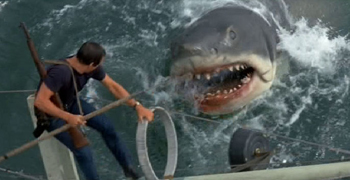Jaws